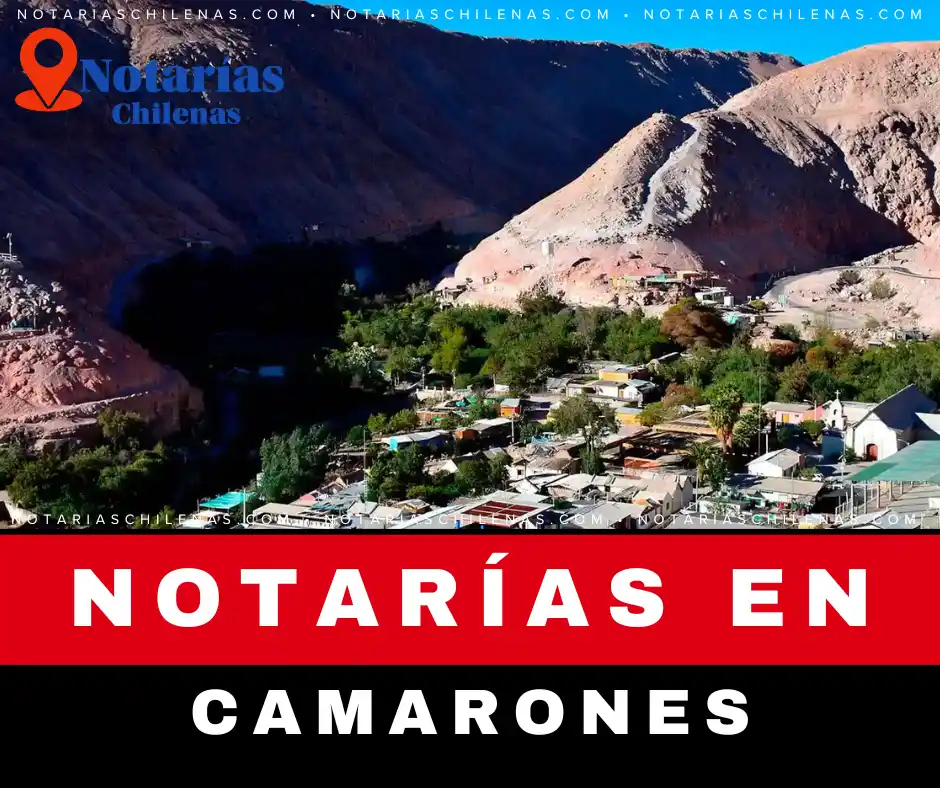 Mejores Notarías en Camarones