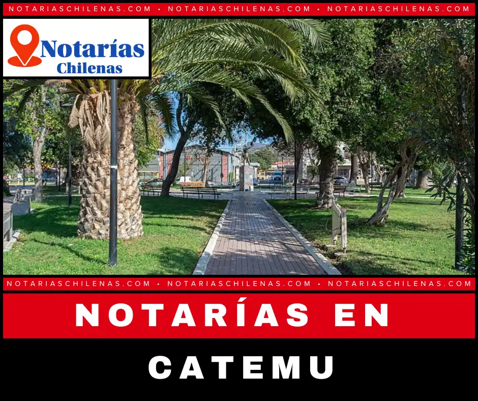 Mejores Notarias en Catemu