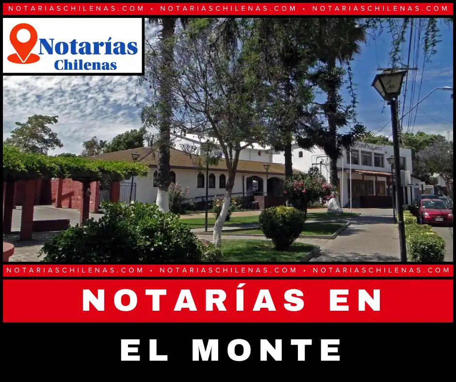 Mejores Notarías en el Monte