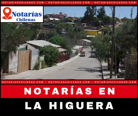 Mejores Notarías en La Higuera