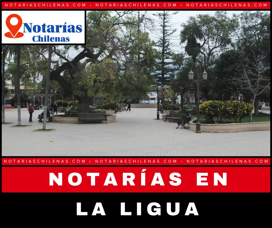 Mejores Notarías en La Ligua