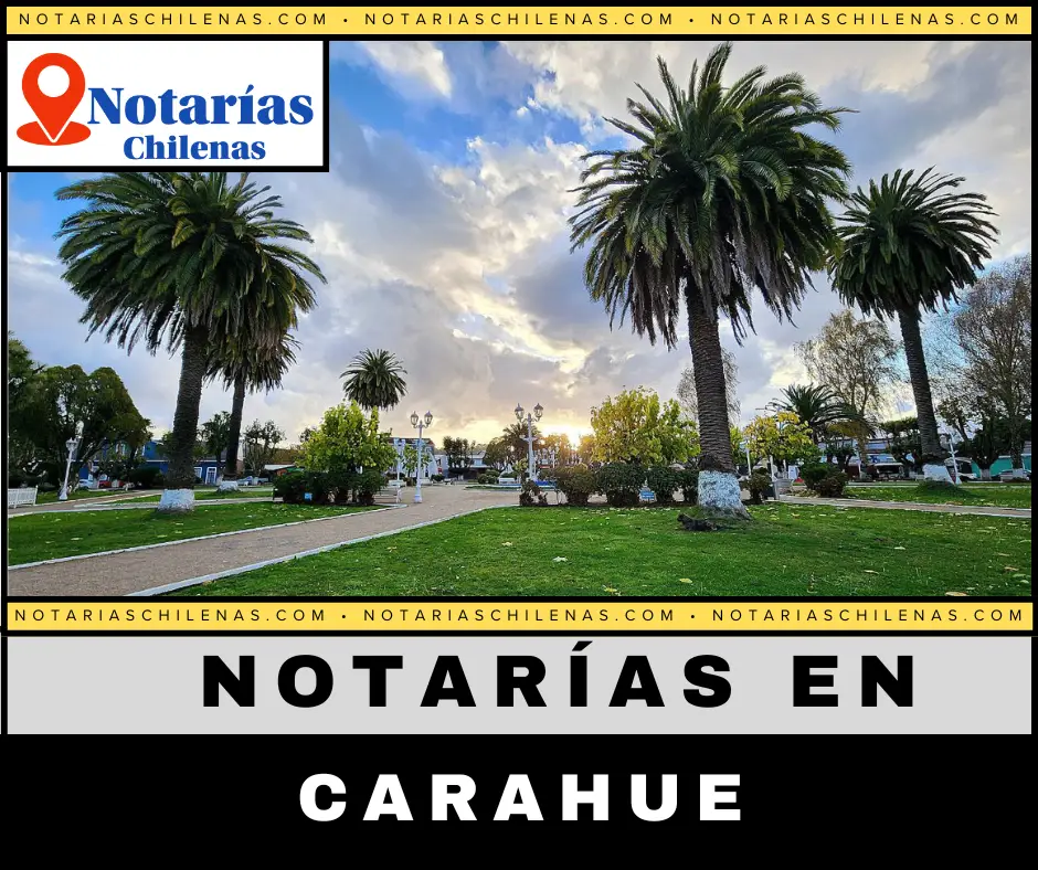  Mejores Notarías En Carahue