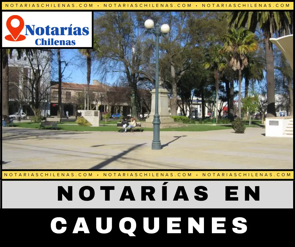 Mejores Notarías En Cauquenes