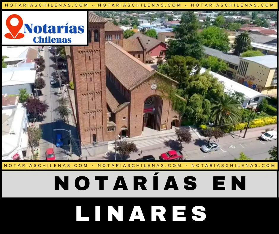 Mejores Notarías En Linares