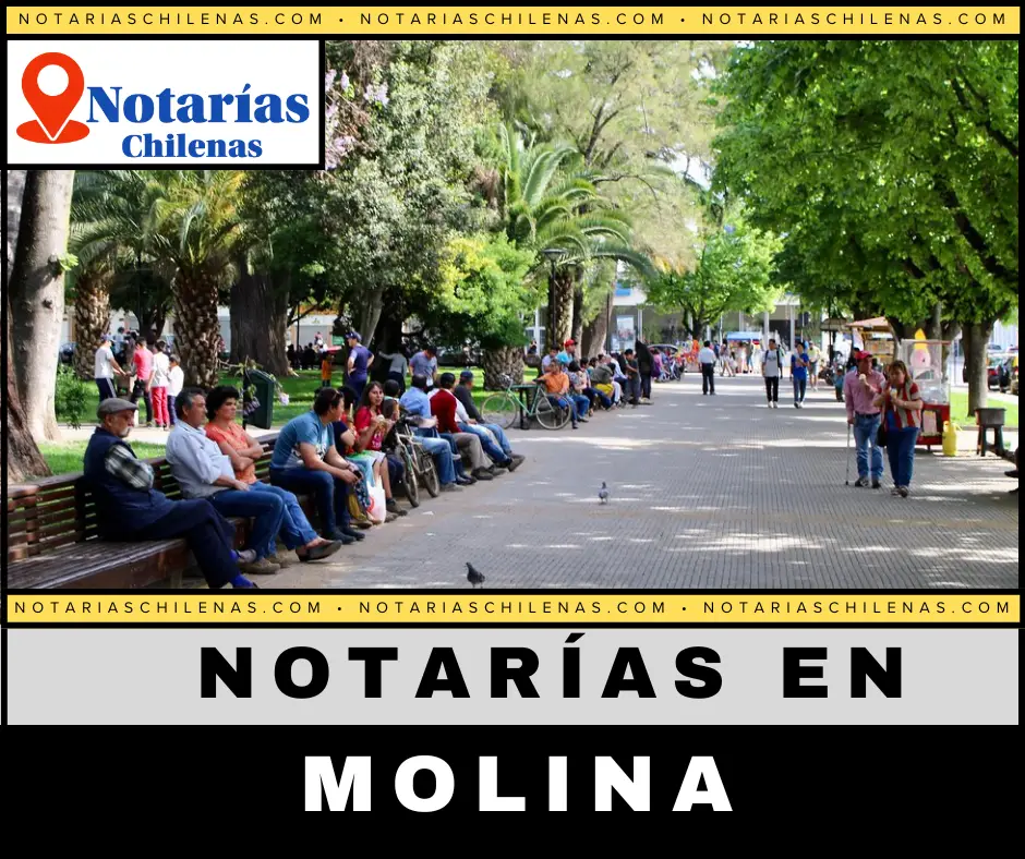 Mejores Notarías En Molina