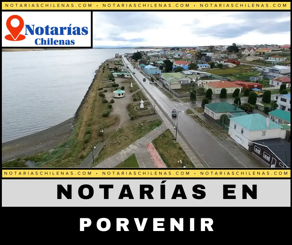 Mejores Notarías En Porvenir