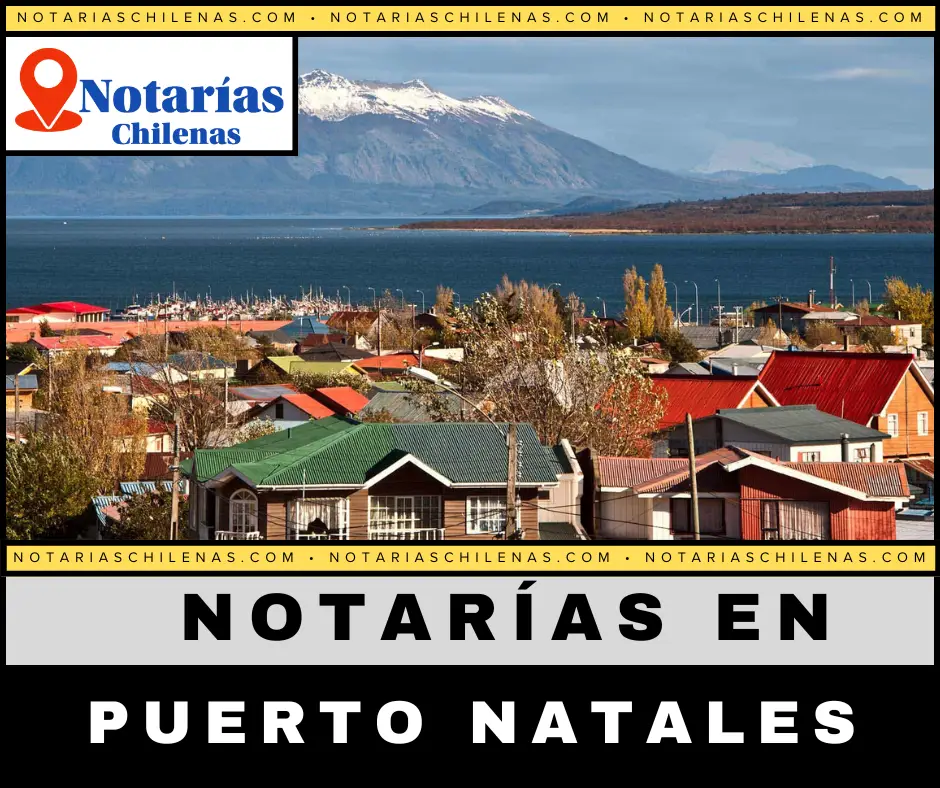 Mejores Notarías En Puerto Natales