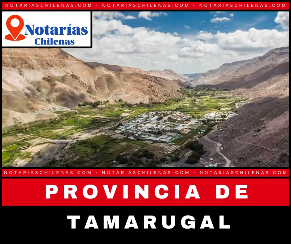 Mejores Notarías en Provincia Tamarugal