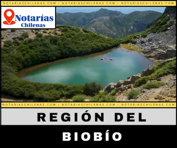  Mejores Notarías en Región Del Biobío
