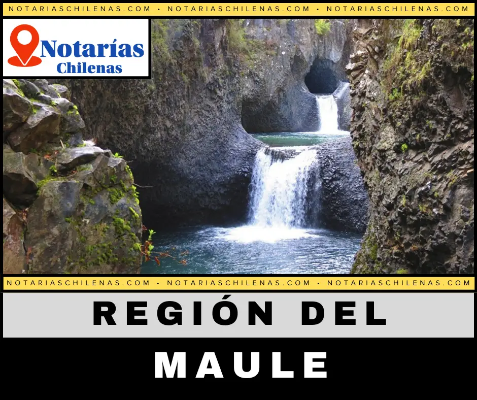  Mejores Notarías en Región del Maule