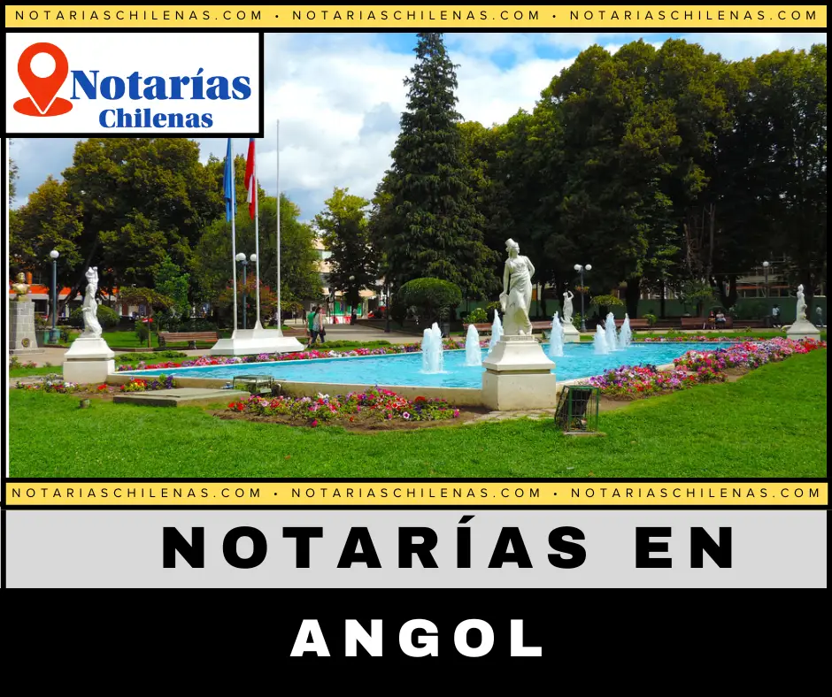  Mejores Notarías En Angol